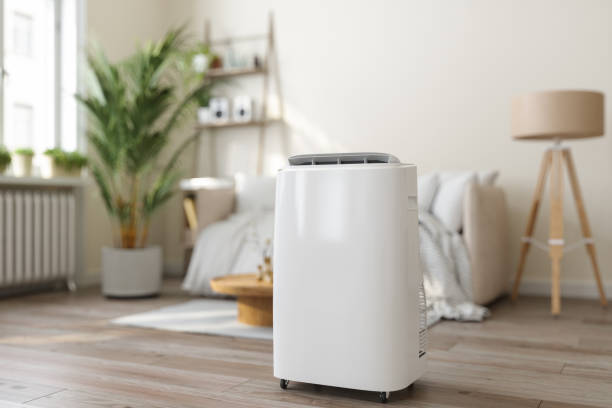 Ductless HVAC repair in Darien, GA